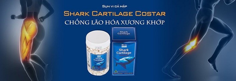 [Review] Sụn cá mập Costar Blue Shark Cartilage 750mg 365 viên của Úc