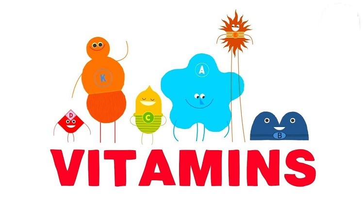 Top 14 sự thật thú vị về các loại vitamin có thể bạn chưa biết