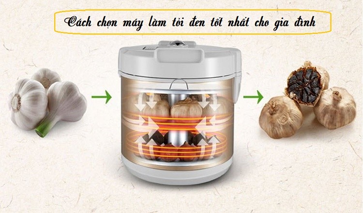 Bật mí cách chọn máy làm tỏi đen tốt nhất năm 2020