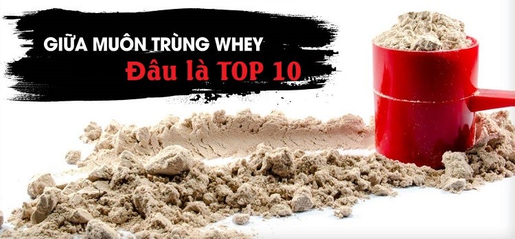 Top 10 Whey Protein tăng cơ giảm mỡ hiệu quả nhất cho dân tập gym