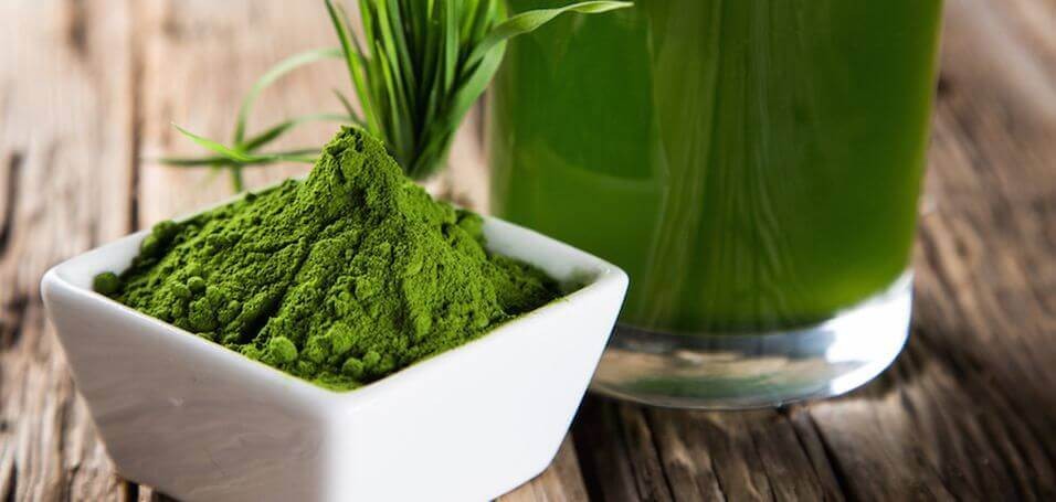 Chuyên gia chia sẻ trẻ em có nên uống tảo Nhật