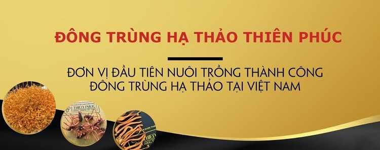 Đánh giá đông trùng hạ thảo Thiên Phúc có tốt không