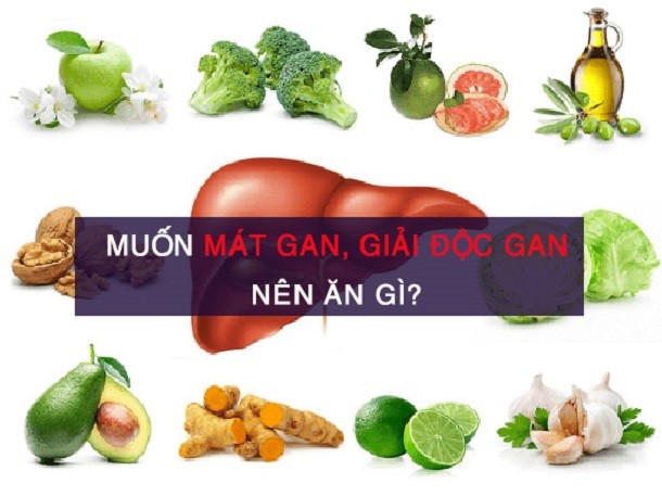 Top thực phẩm mát gan giải độc trị mụn hiệu quả