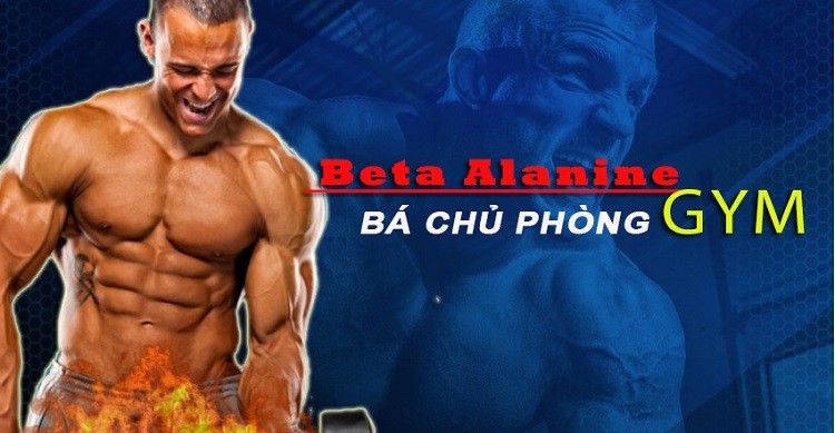 Beta Alanine