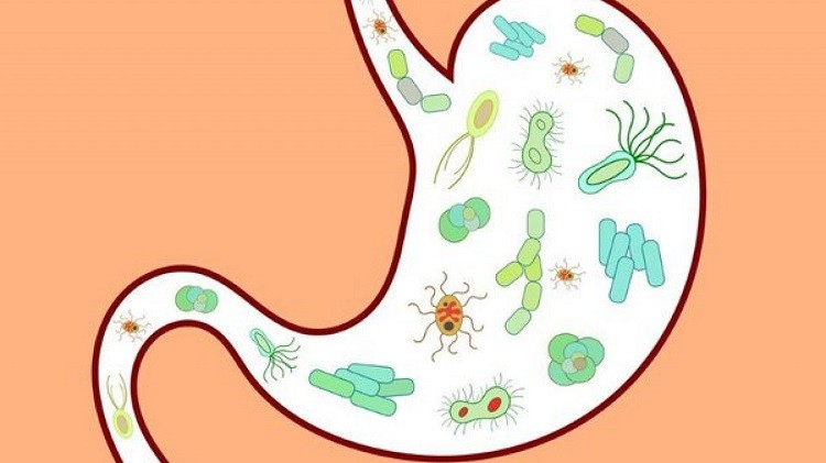 rối loạn tiêu hóa