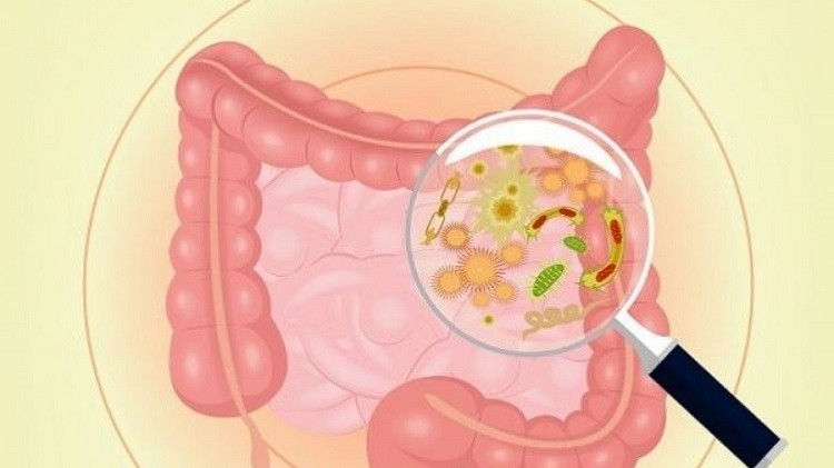 nhiễm trùng đường ruột