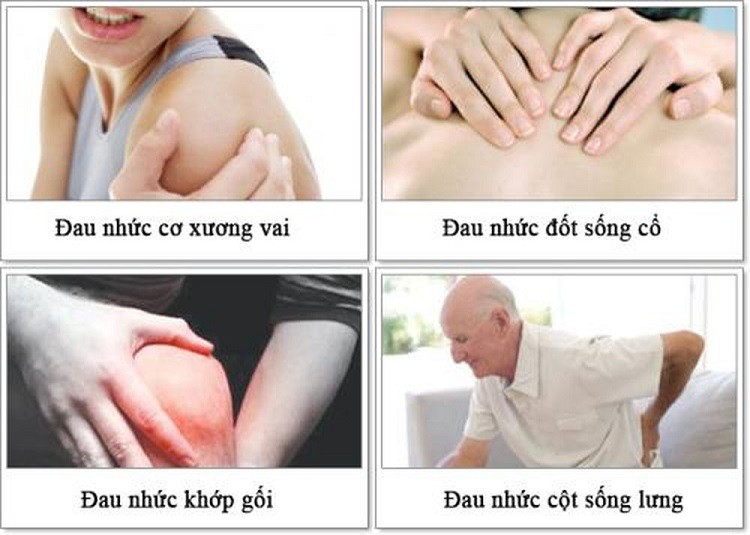 công dụng Glucosamine