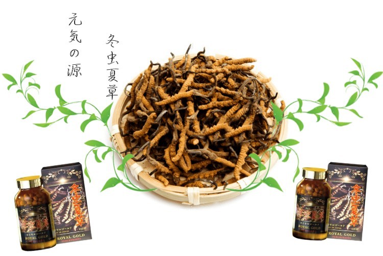 tohchukasou Royal Gold