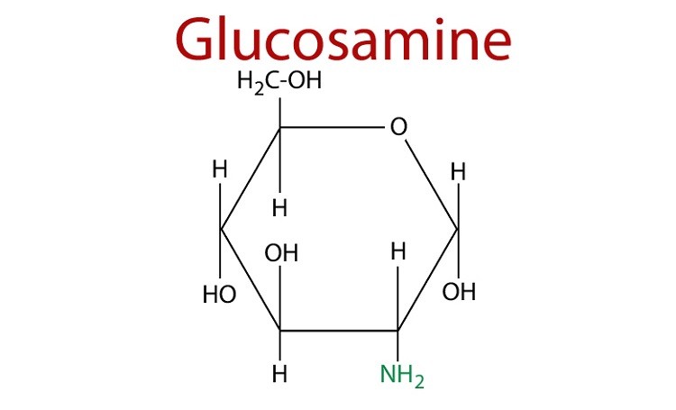 Glucosamine