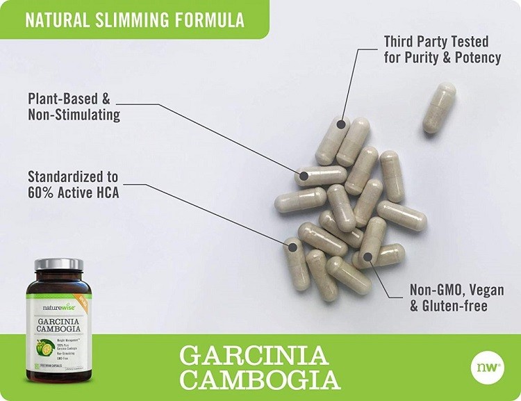Garcinia Cambogia HCA