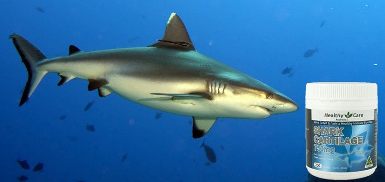 viên Healthy Care 750mg