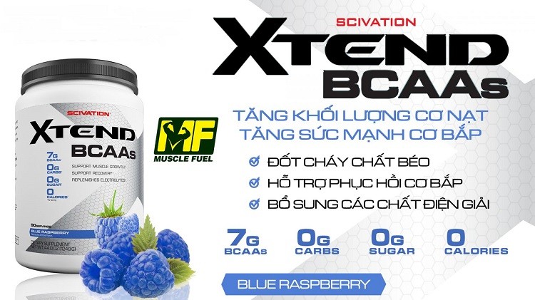 Scivation Xtend BCAAs