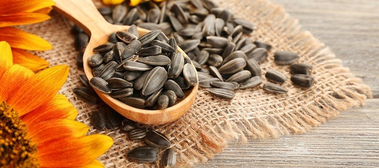 Hạt hướng dương