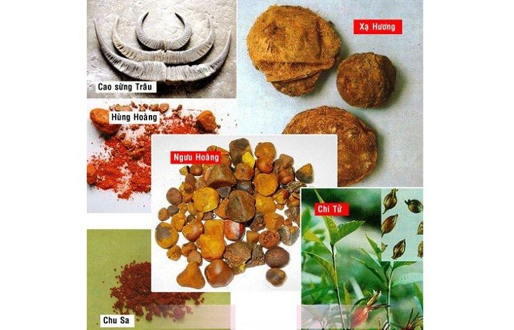 An Cung Ngưu Hoàng Hoàn bào chế từ thảo dược