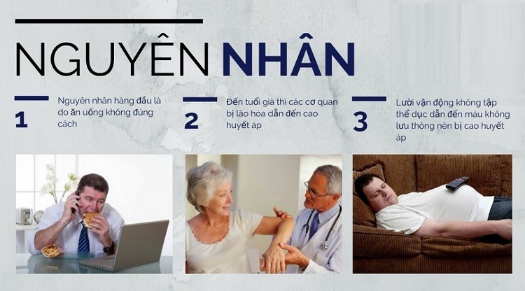 nguyên nhân dẫn đến cao huyết áp