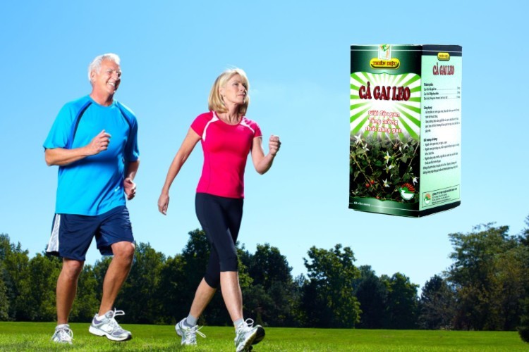 Cà gai leo USA Pharma