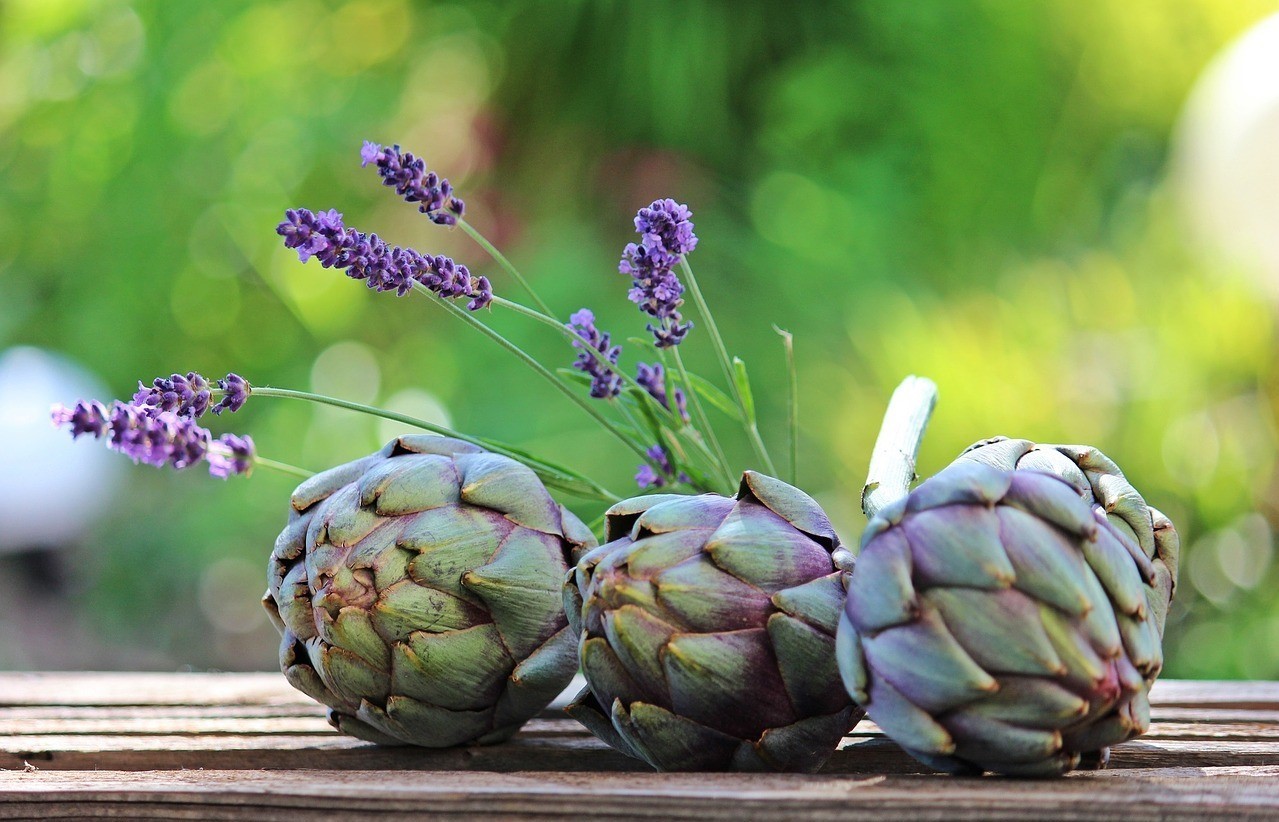 Atiso là một trong những loại thảo dược tự nhiên phổ biến