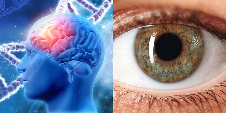 thuốc bổ mắt lutein, thuốc bổ mắt lutein 20mg 30 viên, thuốc bổ mắt lutein 6mg, thuốc bổ mắt lutein hàn quốc, thuốc bổ mắt lutein 40mg, thuốc bổ mắt lutein defence, tác dụng thuốc bổ mắt lutein, công dụng của thuốc bổ mắt lutein, tác dụng của thuốc bổ mắt lutein