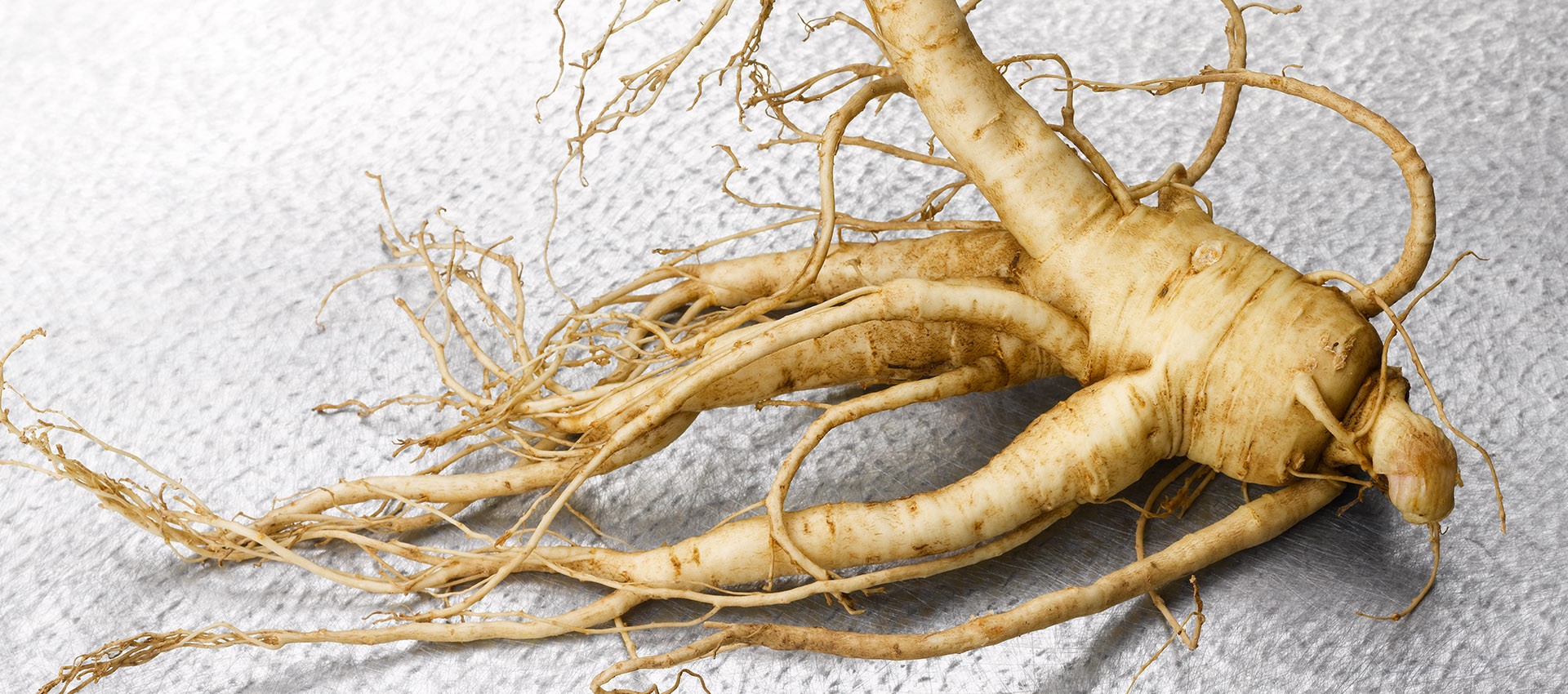 nhân sâm Hàn Quốc Phòng chống bệnh ung thư