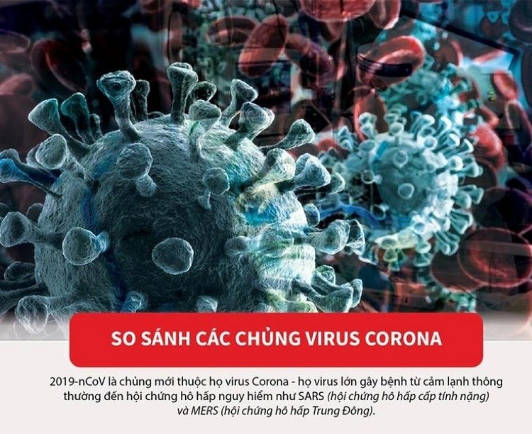 So sánh giữa các chủng virus corona