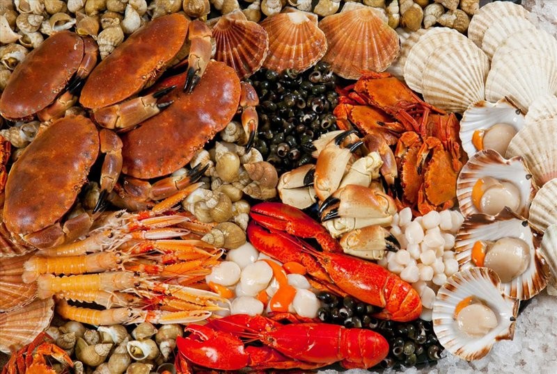 bị xương khớp kiêng ăn gì, bệnh xương khớp nên kiêng ăn gì, bị khớp không nên ăn gì, bị xương khớp không nên ăn gì, bệnh xương khớp kiêng ăn những gì, bị bệnh xương khớp không nên ăn gì, bị bệnh xương khớp kiêng ăn gì, bệnh viêm khớp không nên ăn gì, người bị khớp không nên ăn gì, người bị đau xương khớp không nên ăn gì