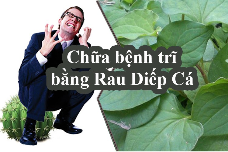 chữa trĩ bằng diếp cá, điều trị bệnh trĩ bằng rau diếp cá, điều trị bệnh trĩ bằng lá diếp cá, trị bệnh trĩ bằng diếp cá, trị trĩ bằng rau diếp cá webtretho, chữa trĩ bằng rau diếp cá như thế nào, chữa trĩ bằng rau diếp cá webtretho, chữa bệnh trĩ bằng diếp cá, trị bệnh trĩ bằng rau diếp cá, cách điều trị bệnh trĩ bằng rau diếp cá