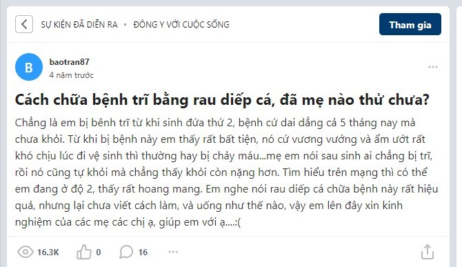 Cách chữa trĩ bằng diếp cá đơn giản, hiệu quả chữa trĩ bằng diếp cá, điều trị bệnh trĩ bằng rau diếp cá, điều trị bệnh trĩ bằng lá diếp cá, trị bệnh trĩ bằng diếp cá, trị trĩ bằng rau diếp cá webtretho, chữa trĩ bằng rau diếp cá như thế nào, chữa trĩ bằng rau diếp cá webtretho, chữa bệnh trĩ bằng diếp cá, trị bệnh trĩ bằng rau diếp cá, cách điều trị bệnh trĩ bằng rau diếp cá