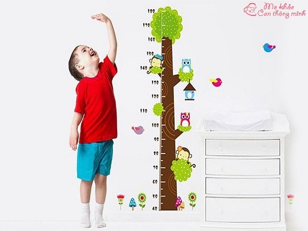 cách tăng chiều cao, cách tăng chiều cao ở tuổi 14, cách tăng chiều cao ở tuổi 15, cách tăng chiều cao ở tuổi 16, cách tăng chiều cao ở tuổi 17, cách tăng chiều cao ở tuổi dậy thì, cách tăng chiều cao ở tuổi 13, cách tăng chiều cao ở tuổi 10, cách tăng chiều cao ở tuổi 18, cách tăng chiều cao ở tuổi 12