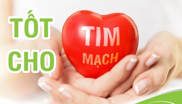 vitamin tổng hợp nào tốt, vitamin tổng hợp loại nào tốt, vitamin b tổng hợp loại nào tốt, có nên uống viên vitamin tổng hợp, uống vitamin tổng hợp có tốt không