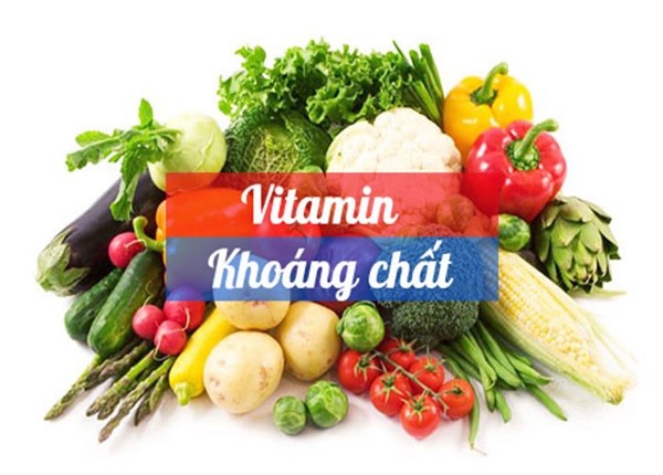 vitamin và khoáng chất, vitamin tổng hợp gồm những gì, vitamin tổng hợp và khoáng chất