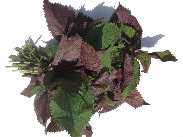 mẹo chữa sôi bụng, mẹo dân gian chữa sôi bụng ở trẻ sơ sinh, cách chữa sôi bụng, chữa sôi bụng, cách chữa sôi bụng tại nhà, cách chữa sôi bụng đầy hơi, mẹo chữa sôi bụng sau sinh, cách chữa sôi bụng đầy hơi cho bà bầu, cách trị sôi bụng tại nhà