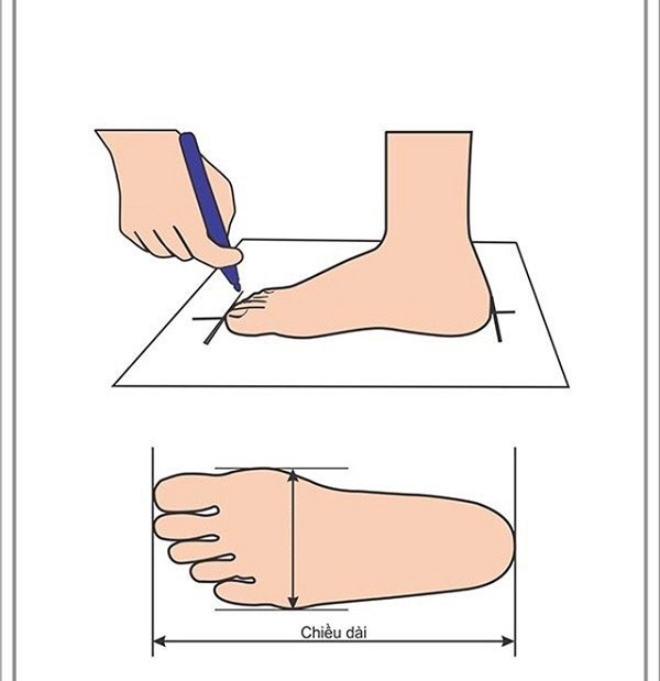 size giày domba nữ, size giày domba, bảng size giày domba, giày domba nữ, giày domba nữ chính hãng