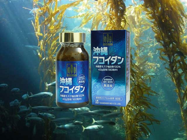 Viên tảo Okinawa Fucoidan Kanehide Bio có tốt không?